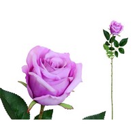 ROSA SINGOLA GRANDE CM.78